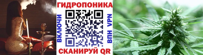 Где найти наркотики Невьянск Псилоцибиновые грибы  Меф мяу мяу  Бошки Шишки 