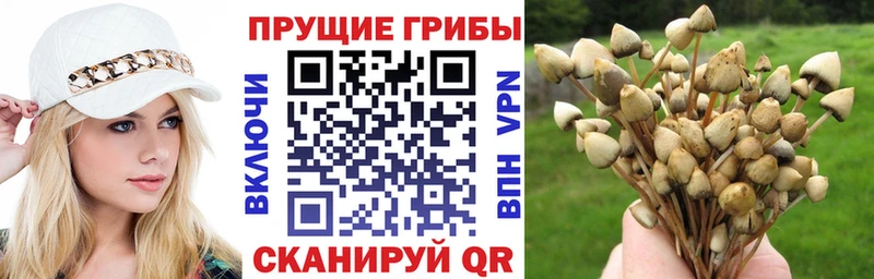 Галлюциногенные грибы мухоморы  цена   Невьянск 